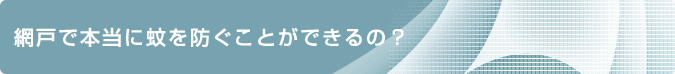 網戸で本当に蚊を防ぐことができるの？